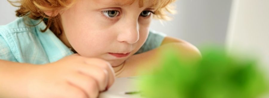 Enfant qui s'ennuie pendant ses études - La douance, qu'est-ce que c'est? - Blogue | Clinique de Psychologie Québec