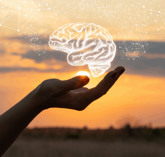 Prenez rendez-vous pour une évaluation en neuropsychologie